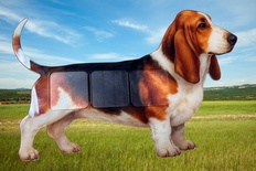 Pies sekwencyjny (edycja specjalna) Pies sekwencyjny (edycja specjalna)