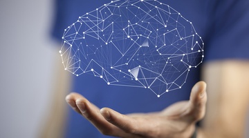 Terapia Neurobiologiczna dla początkujących Terapia Neurobiologiczna dla początkujących